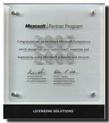 Microsoft - Licensing Solutions (20.02.2007 - 29.02.2008)